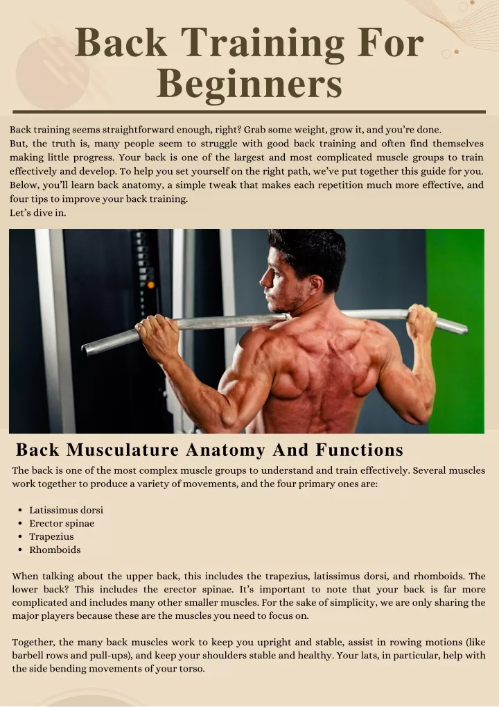 back training for beginners