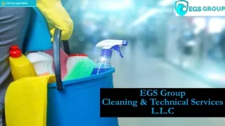 egs group cleaning technical services l l c