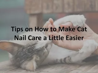 Tips on How to Make Cat Nail Care a Little Easier