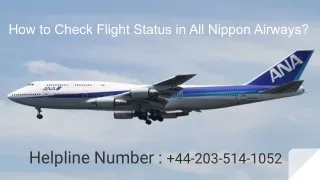 How to Check Flight Status in All Nippon Airways?