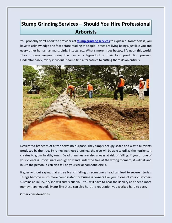 stump grinding services should you hire