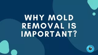 A Short Guide on Mold Removal