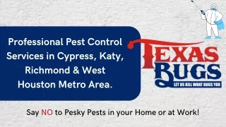 Get Rid of Termites in your home with the best Termite Control company in Texas