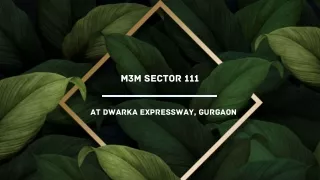 m3m sector 111