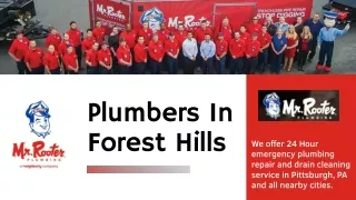 Plumbers In Forest Hills