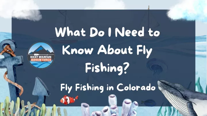 what do i need to know about fly fishing