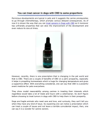you can treat cancer in dogs with cbd to some
