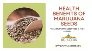 Health Benefits Of Marijuana Seeds