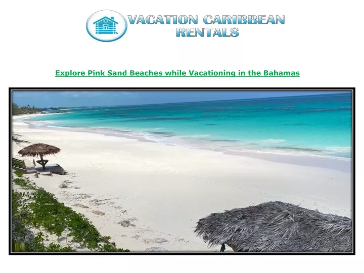 explore pink sand beaches while vacationing