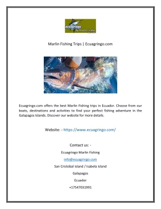 marlin fishing trips ecuagringo com