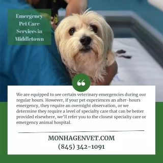 emergency pet care services in middletown