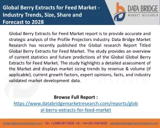 global berry extracts for feed market industry