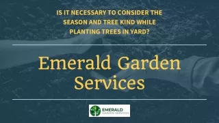 is it necessary to consider the season and tree