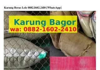 karung beras lele 0882 i602 24i0 whatsapp