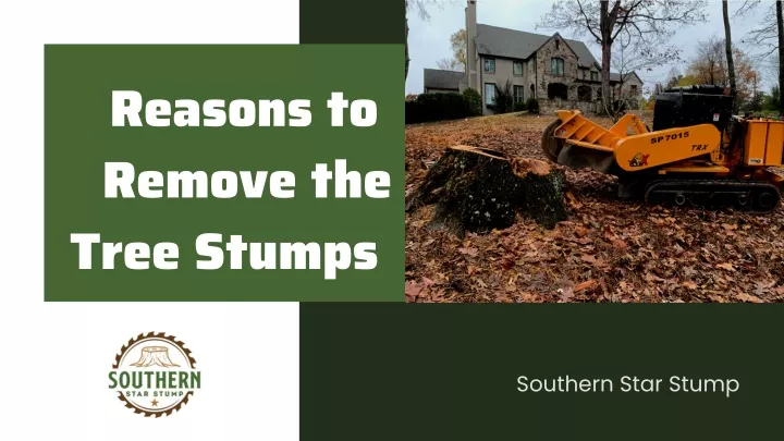 reasons to remove the tree stumps