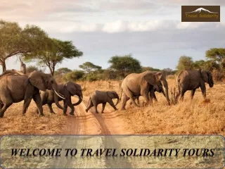Welcome to Travel Solidarity Tours