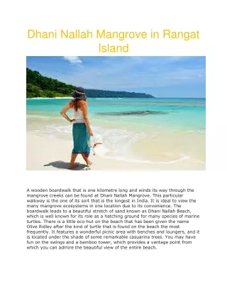 dhani nallah mangrove in rangat island
