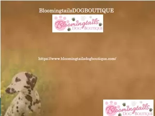 bloomingtailsdogboutique