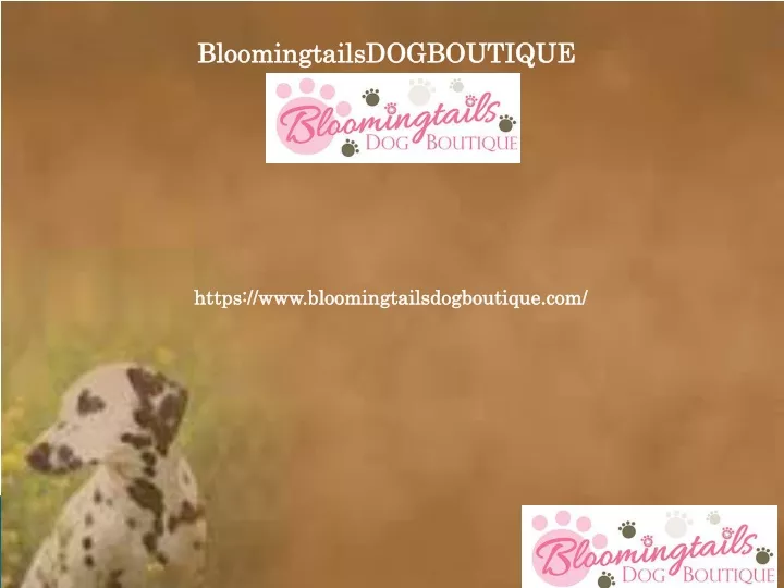 bloomingtailsdogboutique