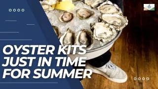 Oyster Kits Just in Time for Summer