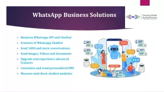 whatsapp business solutions