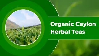 Organic Ceylon Herbal Tea