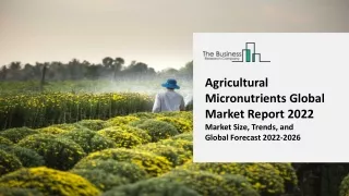 agricultural micronutrients global market report