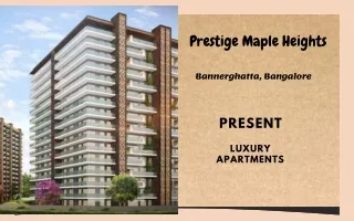 prestige maple heights