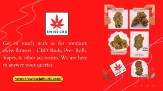 get in touch with us for premium swiss flowers