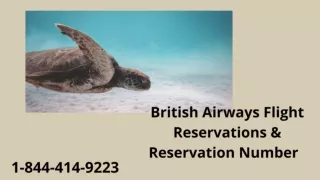 1-844-414-9223 British Airways Flight Reservation Number.