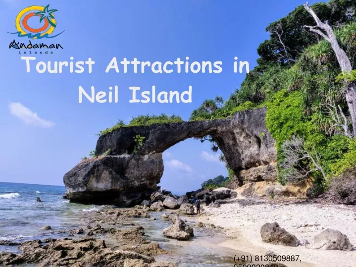 tourist attractions in neil island