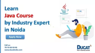 Learn Java Course by Industry Expert in Noida