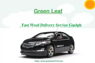 green leaf
