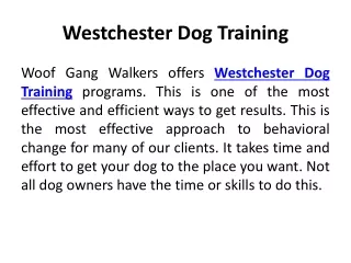 Westchester Dog Training