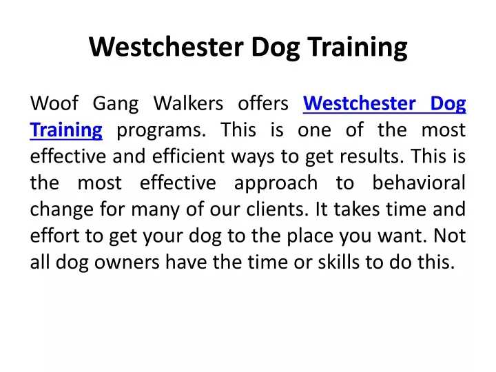 westchester dog training