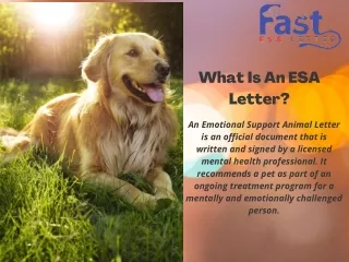 Who Decides If You Qualify for an Emotional Support Animal Letter?