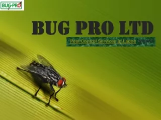 Eliminate the Threat of Harmful Insects With The Pest Control Firm in Nigeria