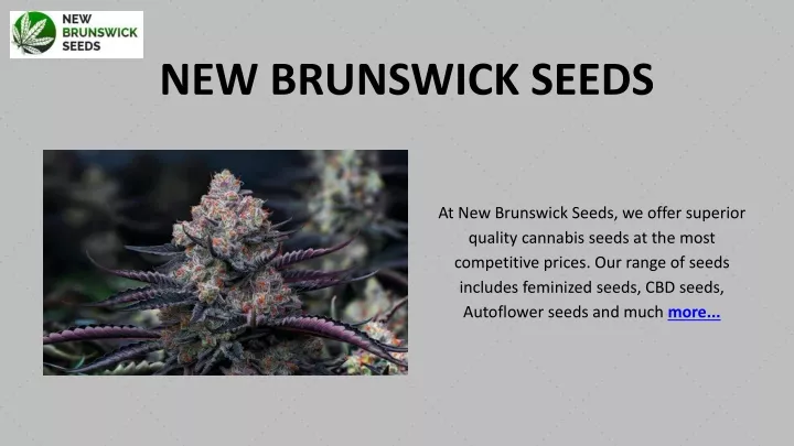 new brunswick seeds