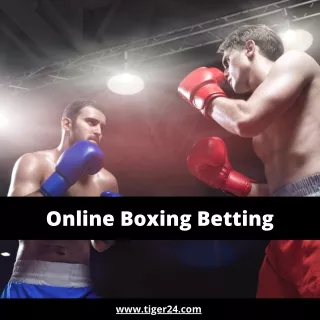 online boxing betting