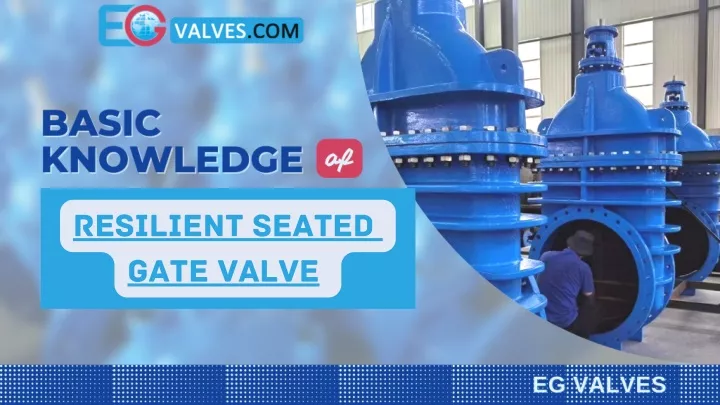 resilient seated gate valve