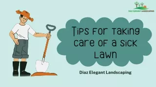 tips for taking care of a sick lawn