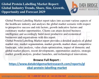 global protein labelling market report global