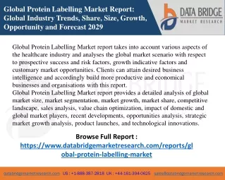 global protein labelling market report global