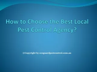 How to Choose the Best Local Pest Control Agency?