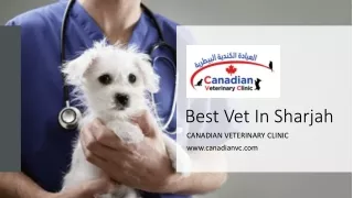 best vet in sharjah