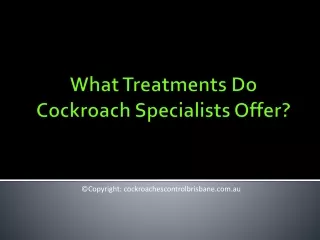 What Treatments Do Cockroach Specialists Offer?