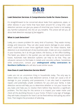 Guide- Home Owners Should Know About Leak Detection Services