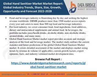 global hand sanitizer market market report global