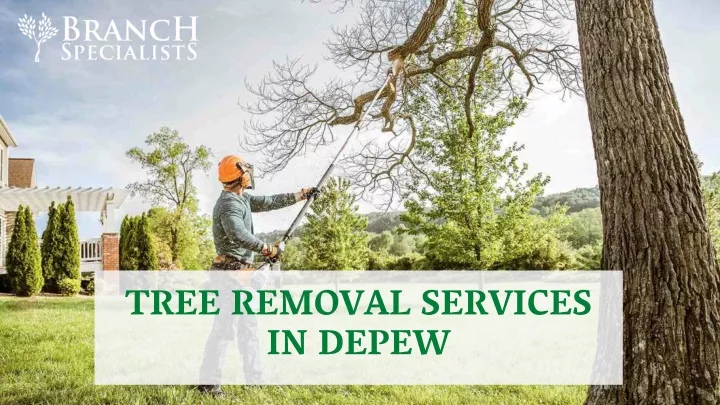 tree removal services in depew