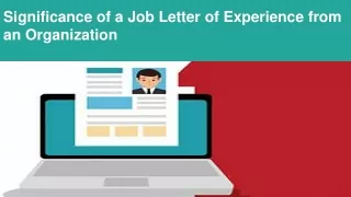 Significance of a Job Letter of Experience from an Organization